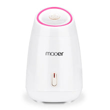 Load image into Gallery viewer, Nano Ionic Steamer Fruit Steam Sprayer Face